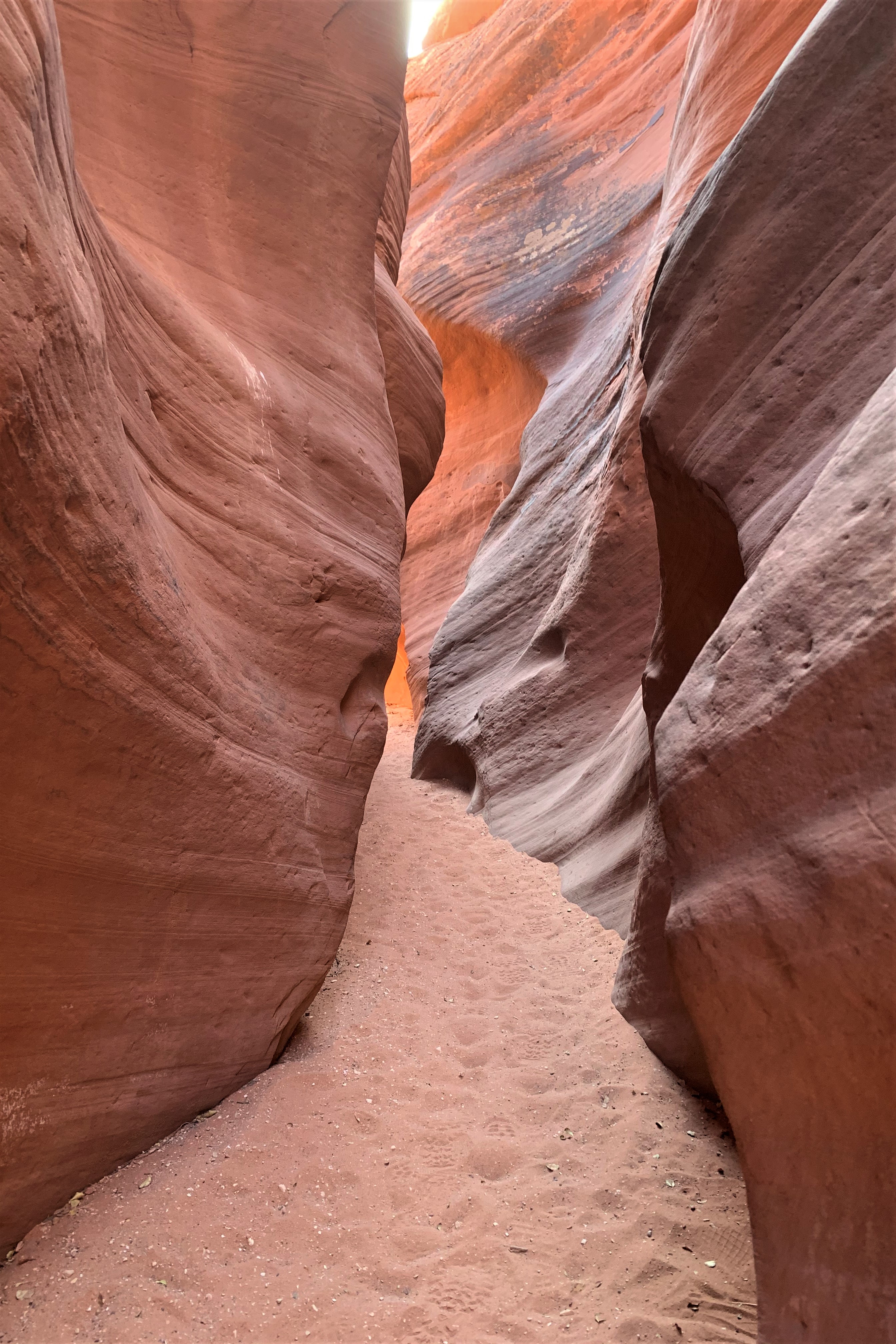 Vermillion Cliffs NM